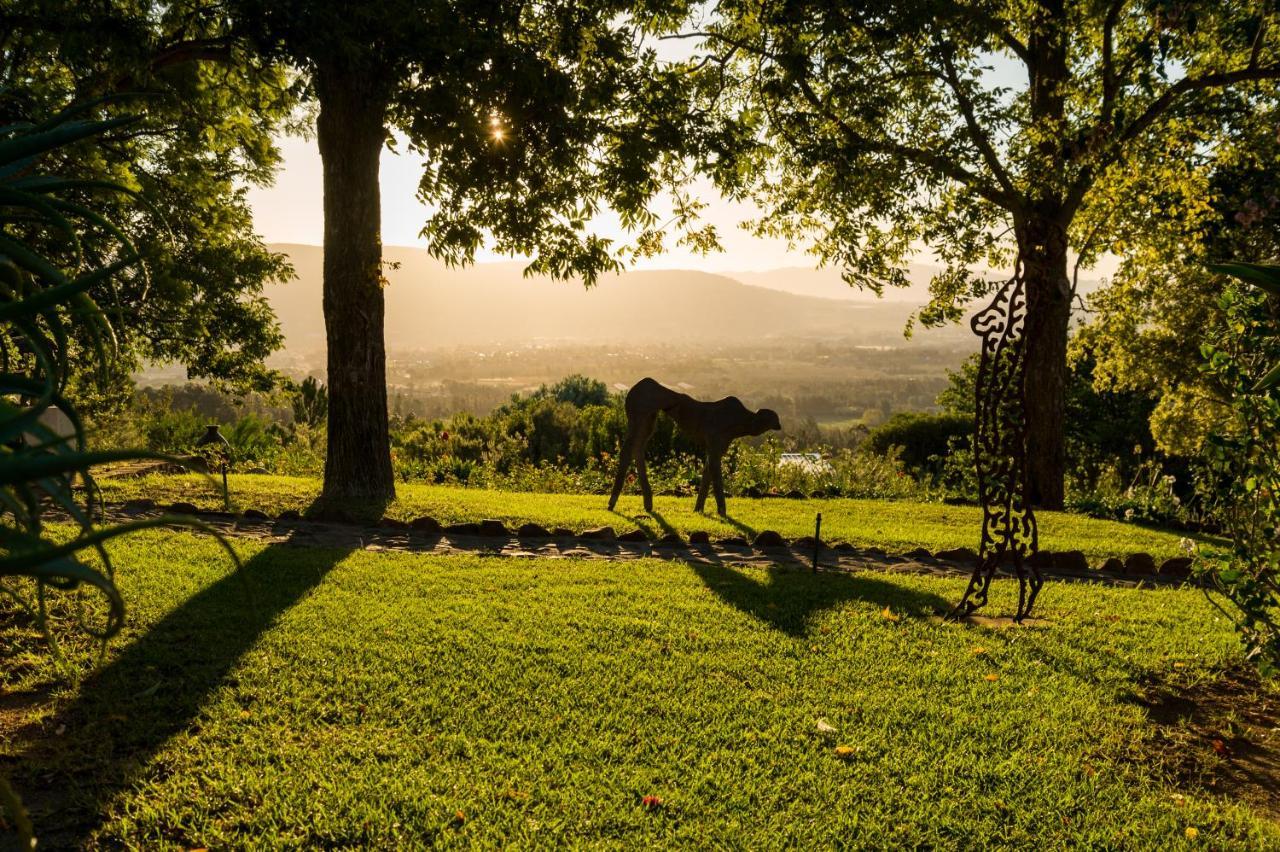 Amberg Country Estate Guest House Paarl Luaran gambar